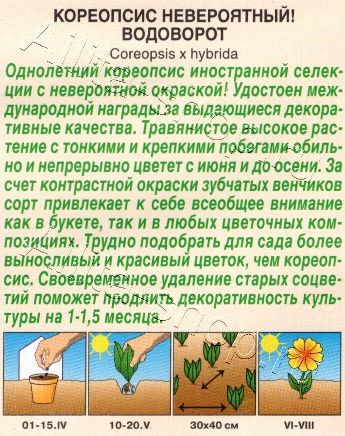 Кореопсис Невероятный! водоворот 0,05г