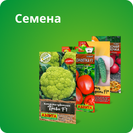 Семена