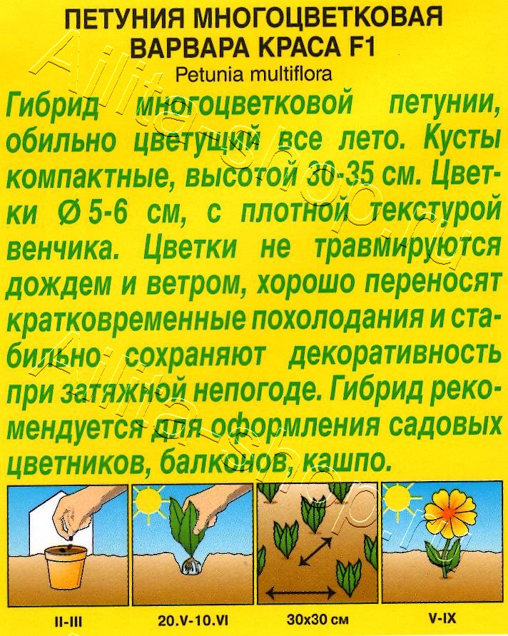 Петуния Варвара Краса F1 многоцветковая 7шт