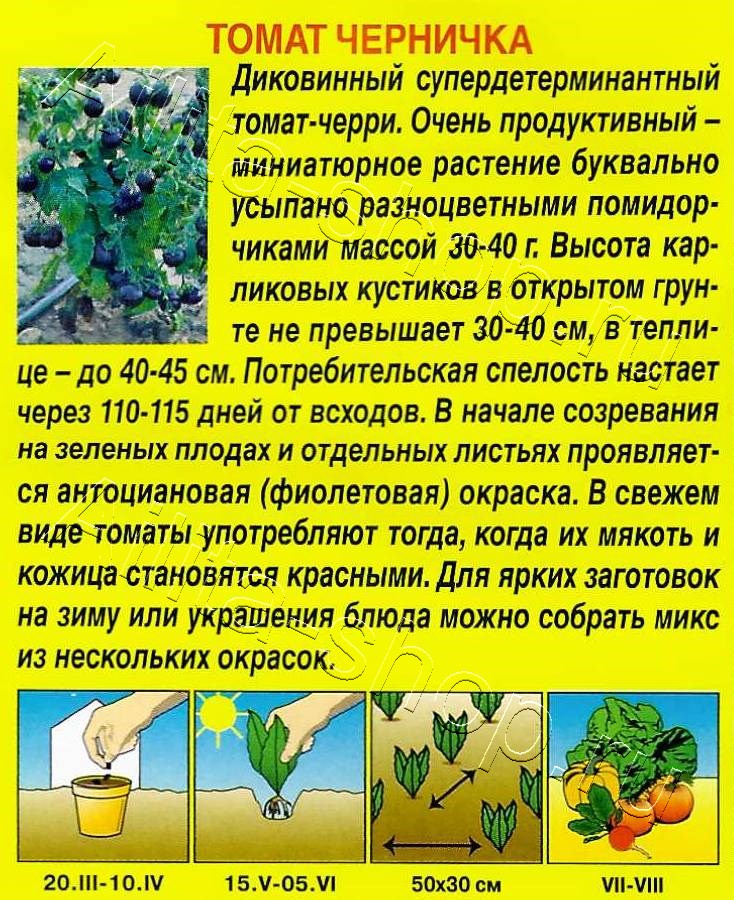 Томат Черничка 20шт