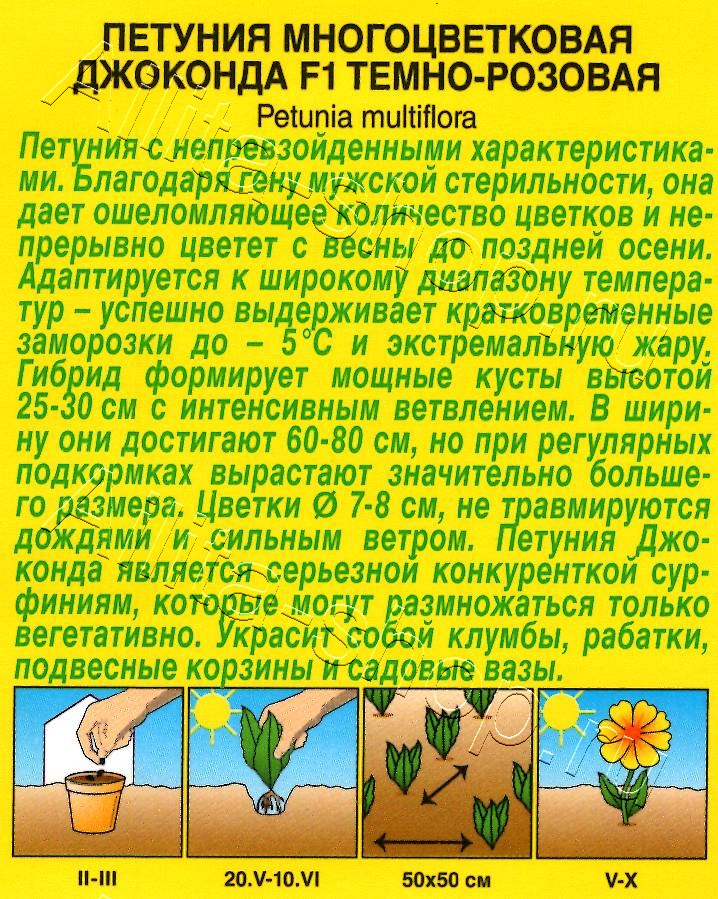 Петуния Джоконда F1 темно-розовая 5шт