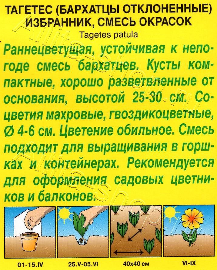 Бархатцы Избранник отклоненные, смесь окрасок 0,3г