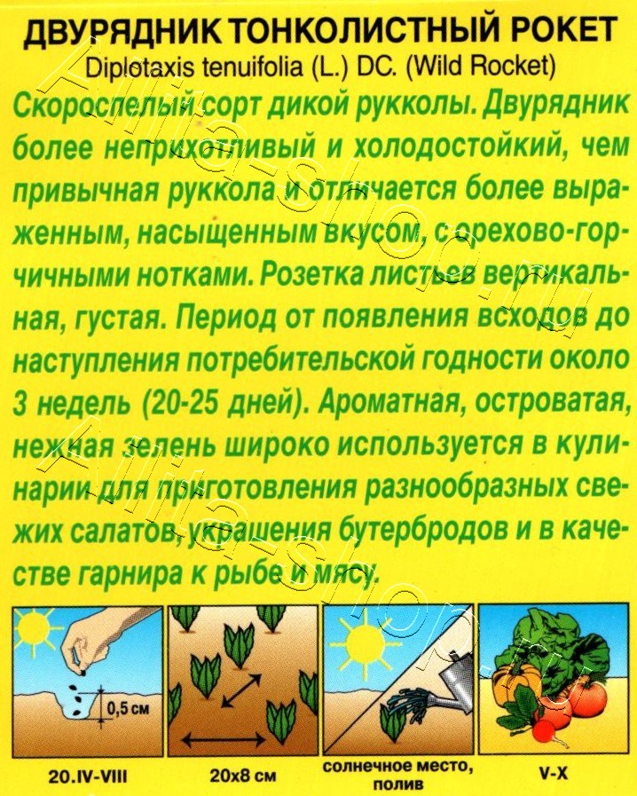 Двурядник тонколистный Рокет 0,3г