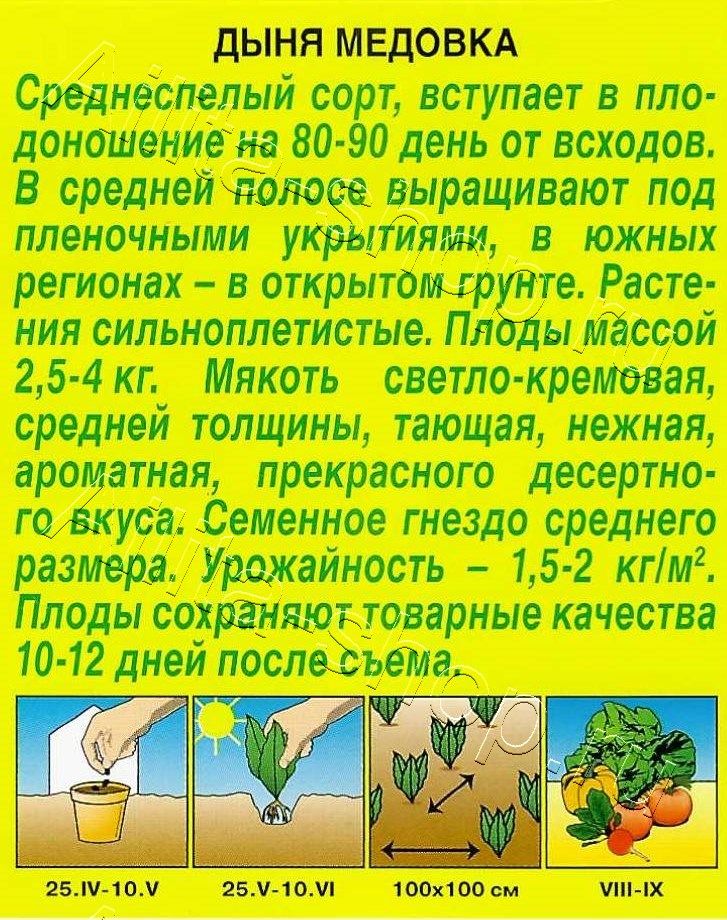 Дыня Медовка 1г