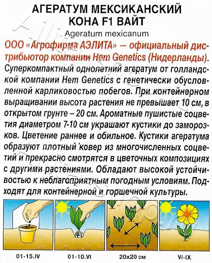 Агератум мексиканский Кона F1 вайт 5шт