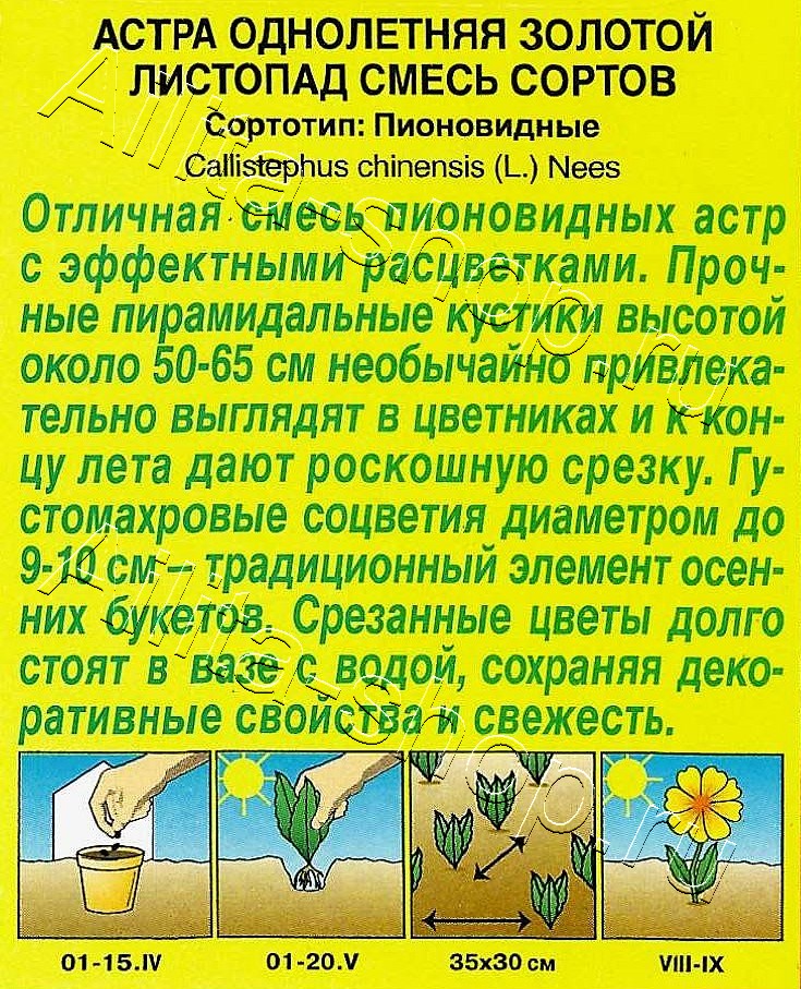 Астра Золотой листопад, смесь,окрасок 0,2г