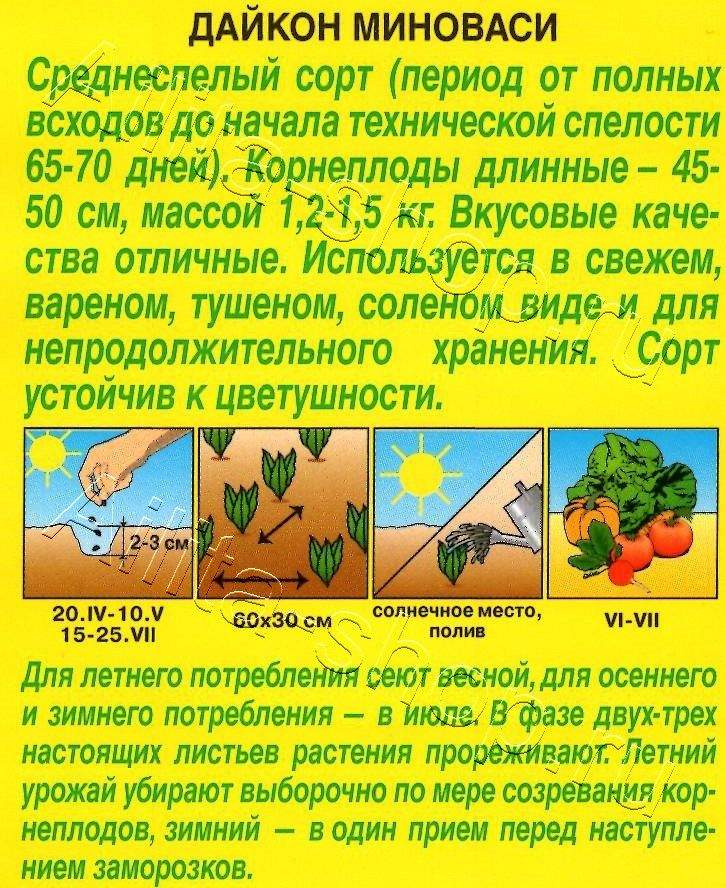 Дайкон Миноваси 1г