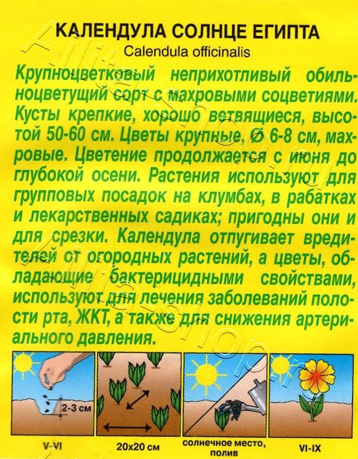 Календула махровая Солнце Египта 0,5г