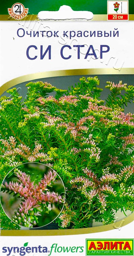 Очиток красивый Си стар 10шт