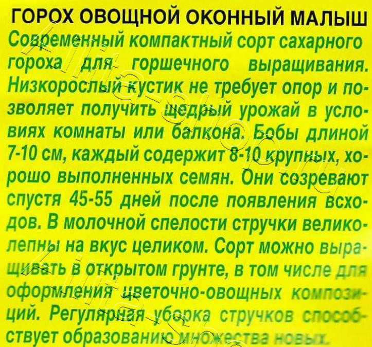 Горох овощной Оконный  малыш 10шт