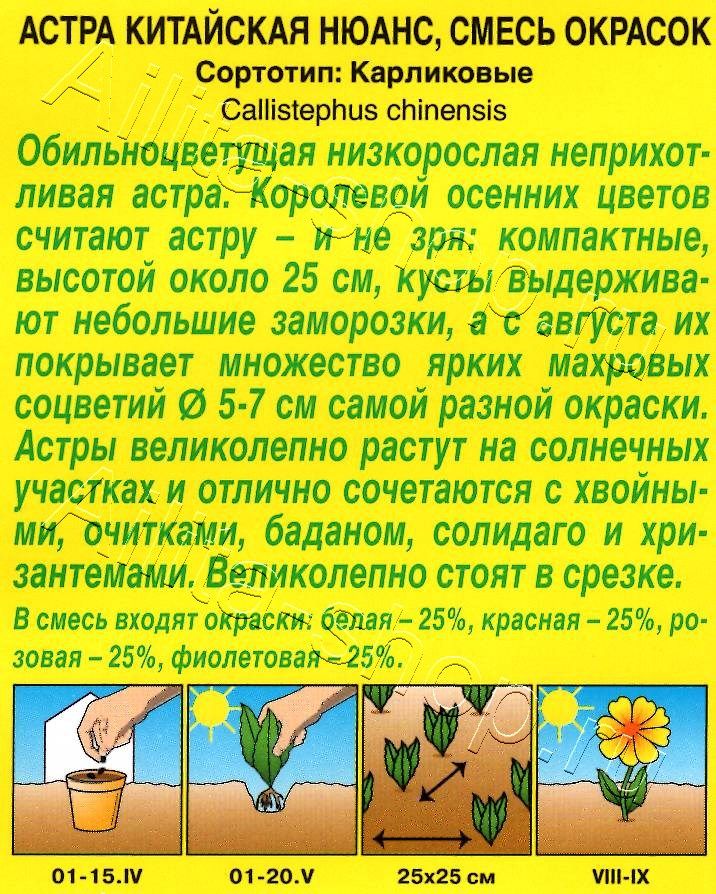 Астра Нюанс карликовая, смесь окрасок 0,2г