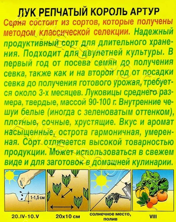 Лук репчатый Король Артур 0,5г