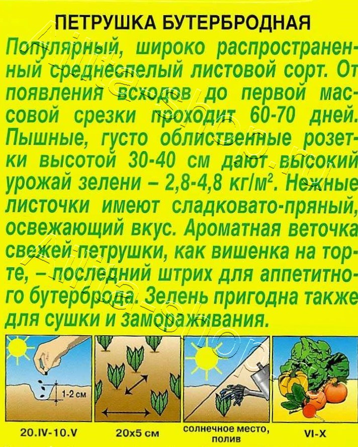 Петрушка листовая Бутербродная 2г