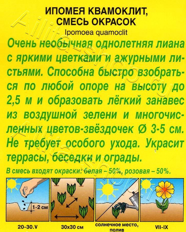 Ипомея Квамоклит, смесь окрасок 0,5г