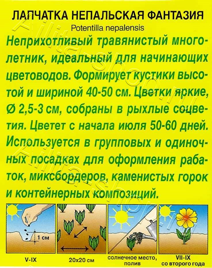 Лапчатка Фантазия 30шт