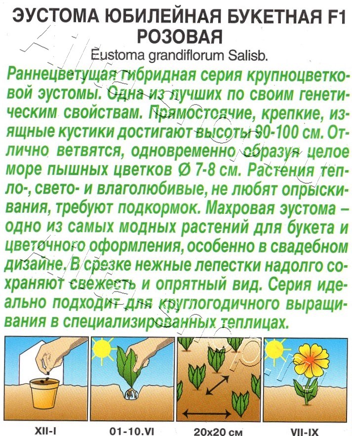 Эустома Юбилейная букетная F1 махровая розовая 5шт