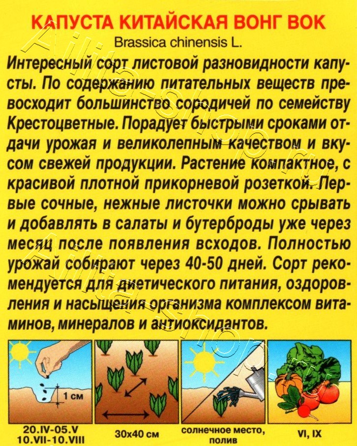 Капуста китайская Вонг вок 0,5г