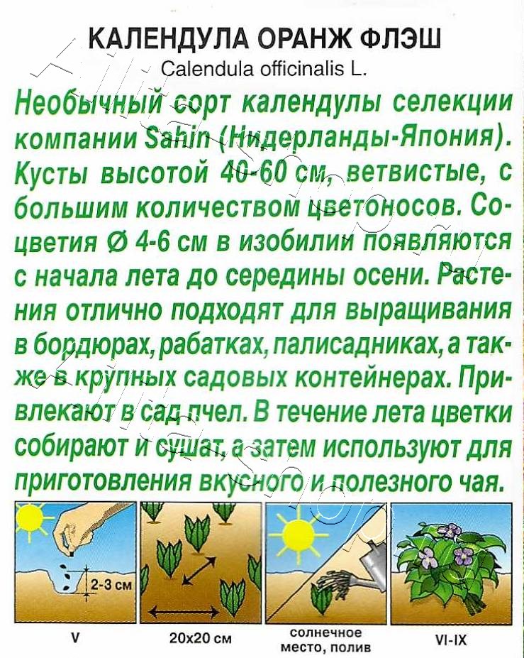 Календула Оранж флэш 0,1г