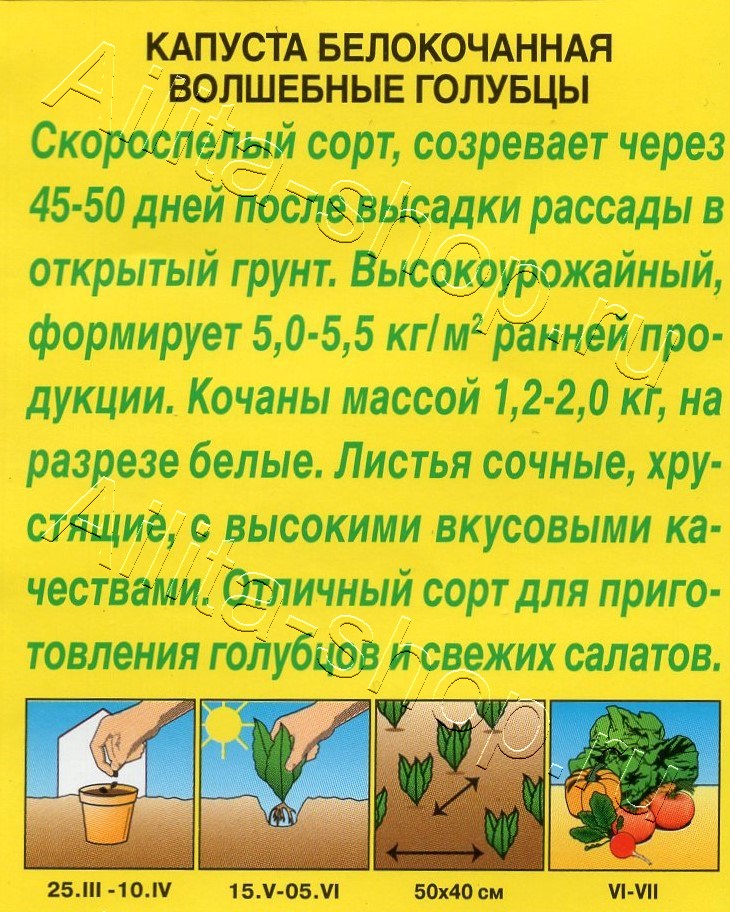 Капуста белокочанная Волшебные голубцы 0,3г