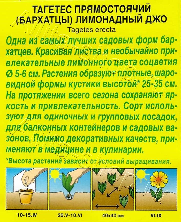 Бархатцы Лимонадный Джо прямостоячие 0,1г