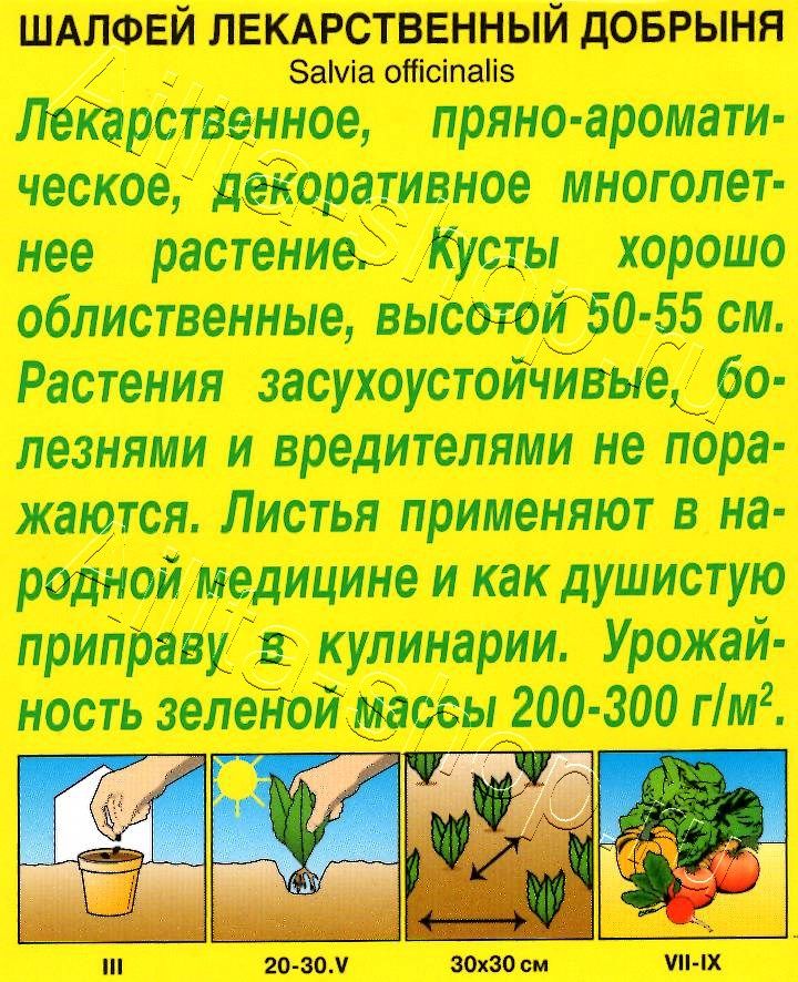 Шалфей лекарственный Добрыня 0,2г