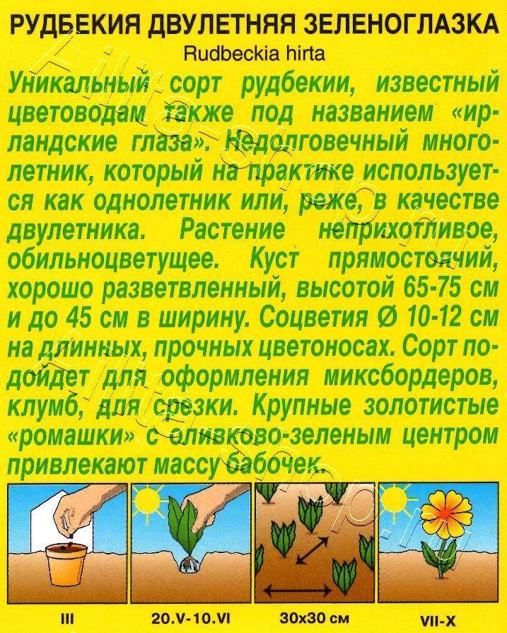 Рудбекия Зеленоглазка 10шт