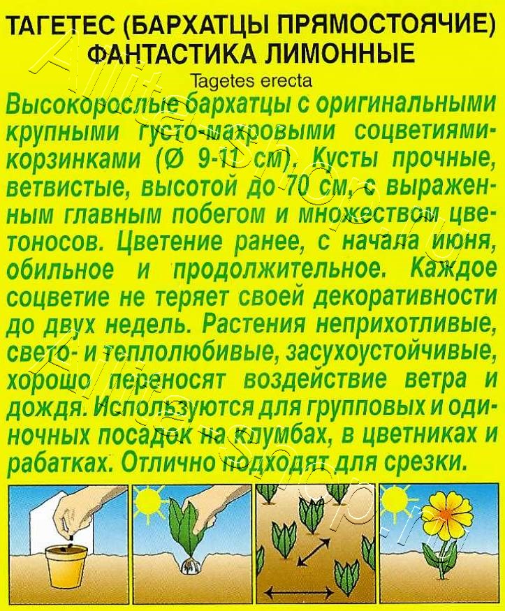 Бархатцы Фантастика лимонные 0,1г