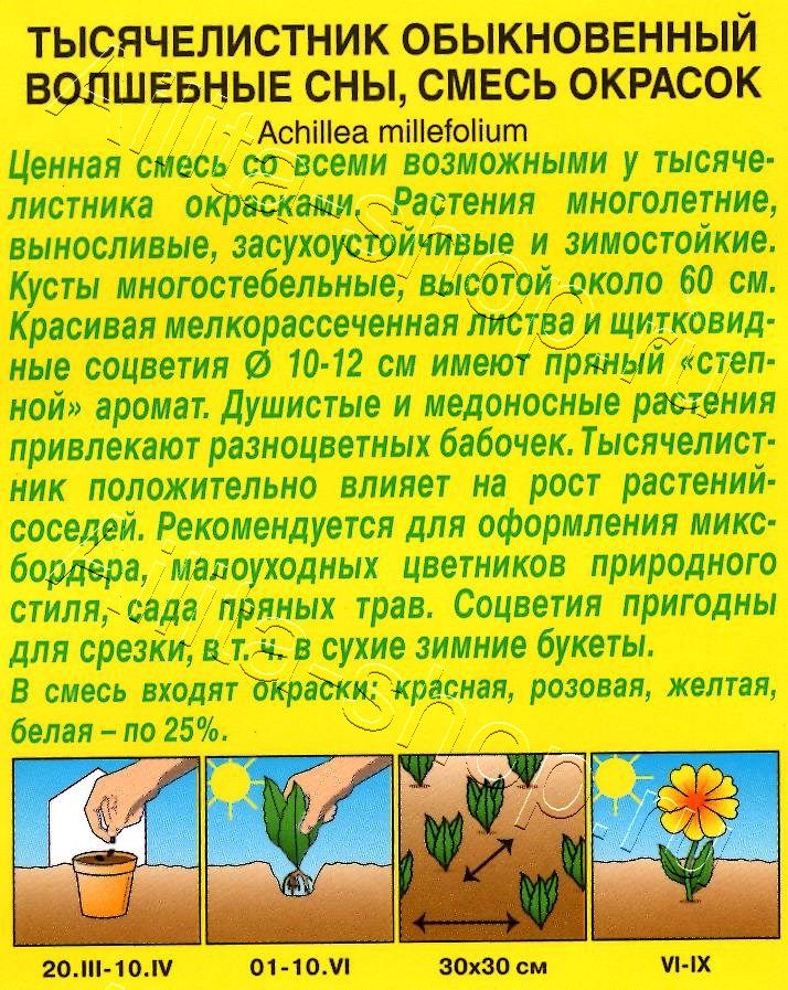 Тысячелистник Волшебные сны, смесь окрасок 0,05г