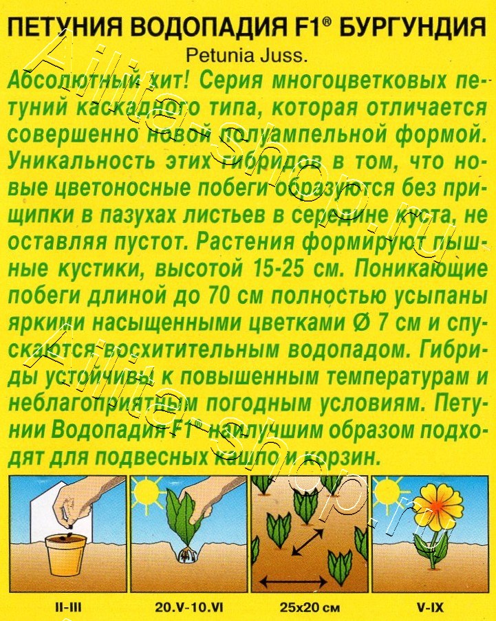 Петуния ВОДОПАДИЯ F1 бургундия 5шт