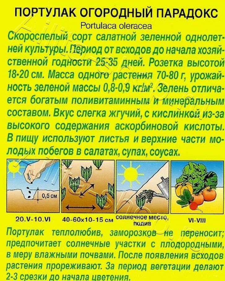 Портулак огородный Парадокс 0,1г