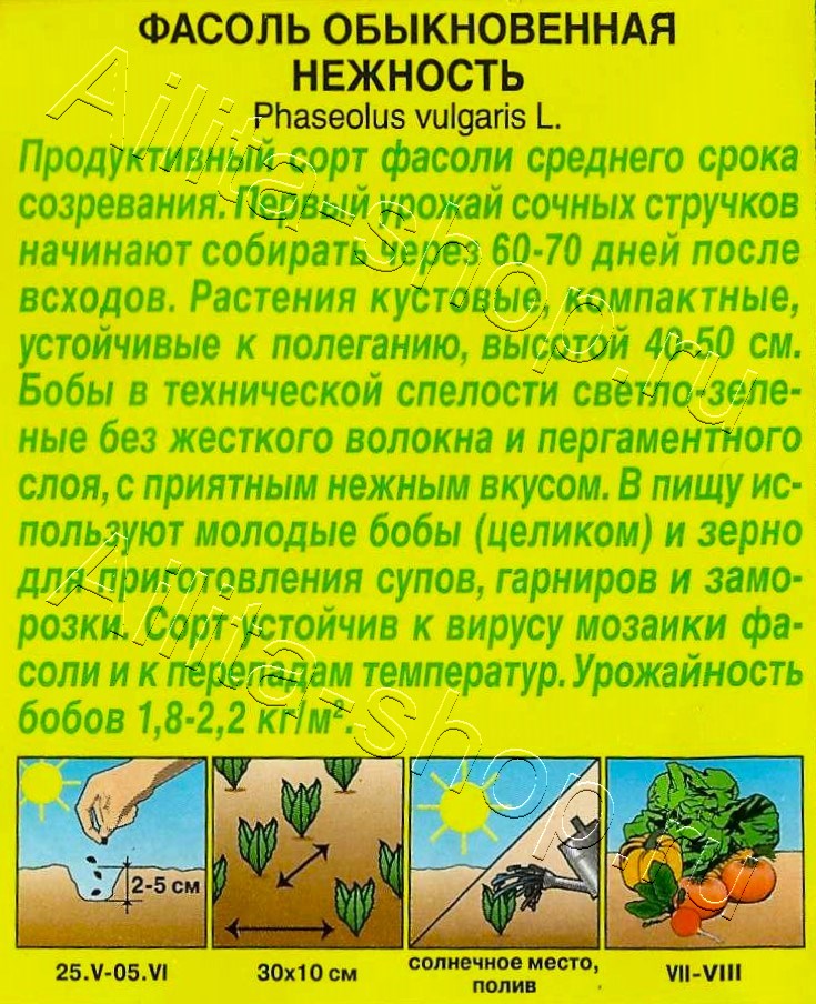 Фасоль обыкновенная Нежность 5г