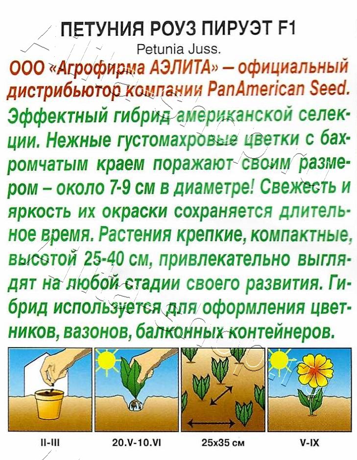Петуния Роуз пируэт F1 крупноцветковая махровая 5шт