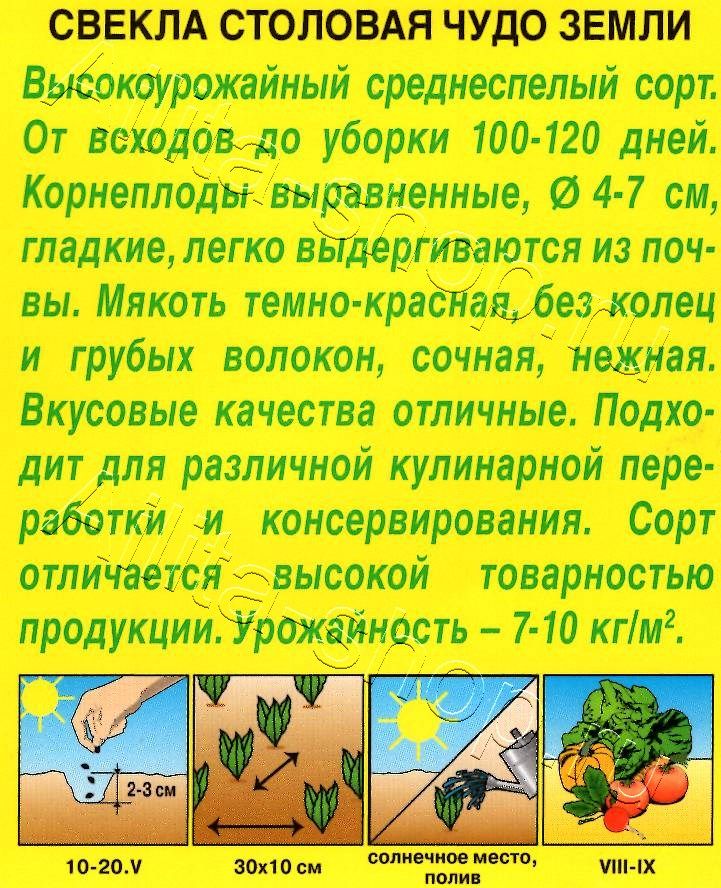 Свекла столовая Чудо земли 3г