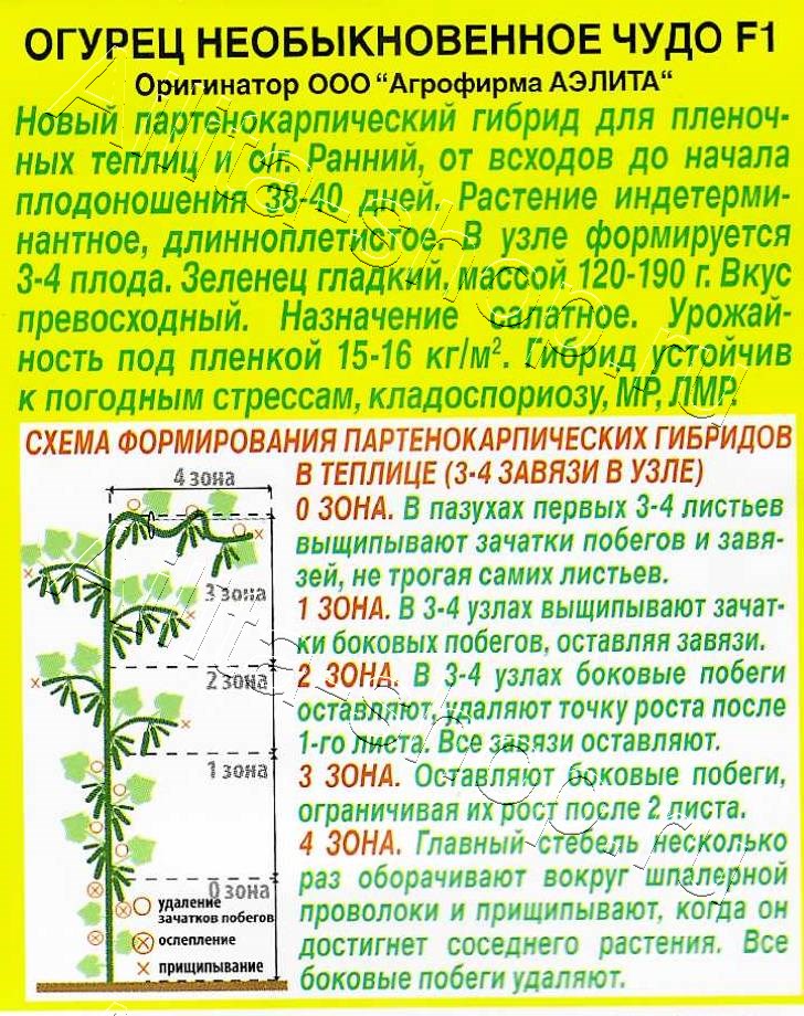 Огурец Необыкновенное чудо F1 10шт