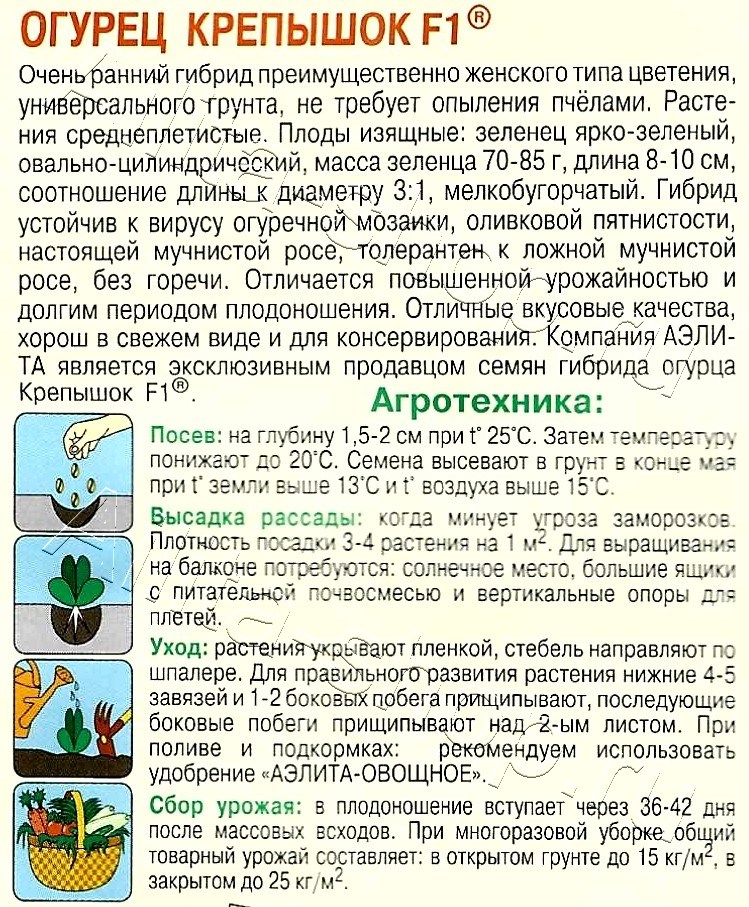 Огурец Крепышок F1 10шт