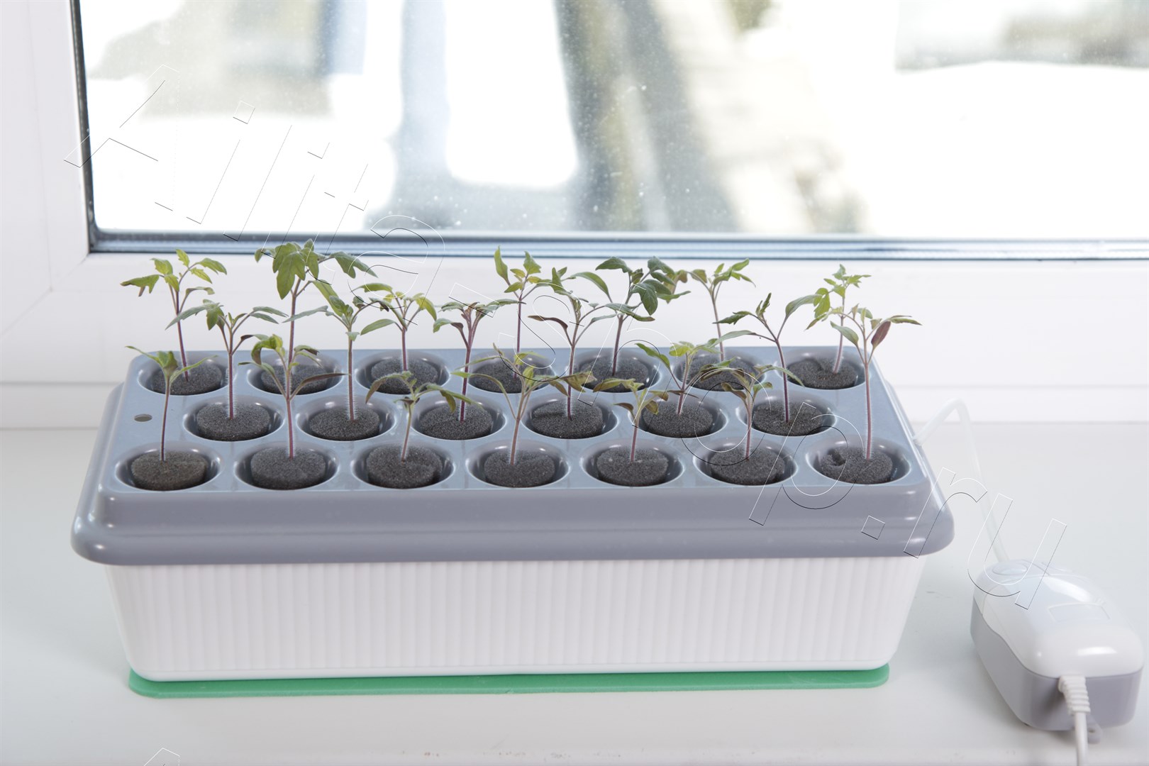 Домашняя чудо-грядка "Здоровья КЛАД" 1шт