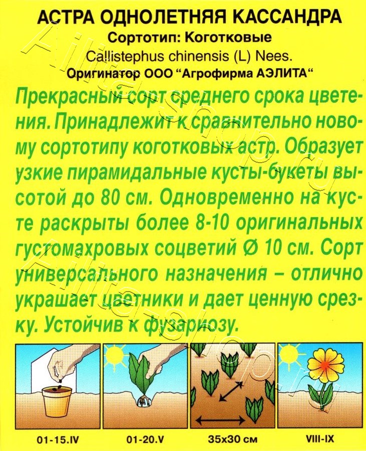 Астра Кассандра 0,2г