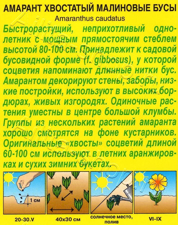 Амарант Малиновые бусы 0,2г