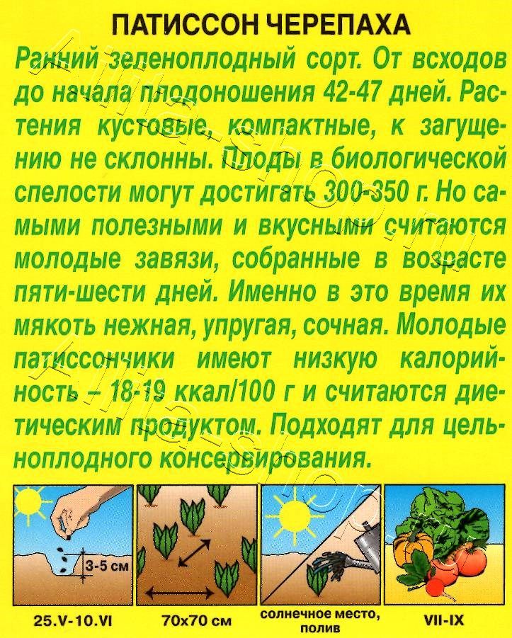 Патиссон Черепаха 1г