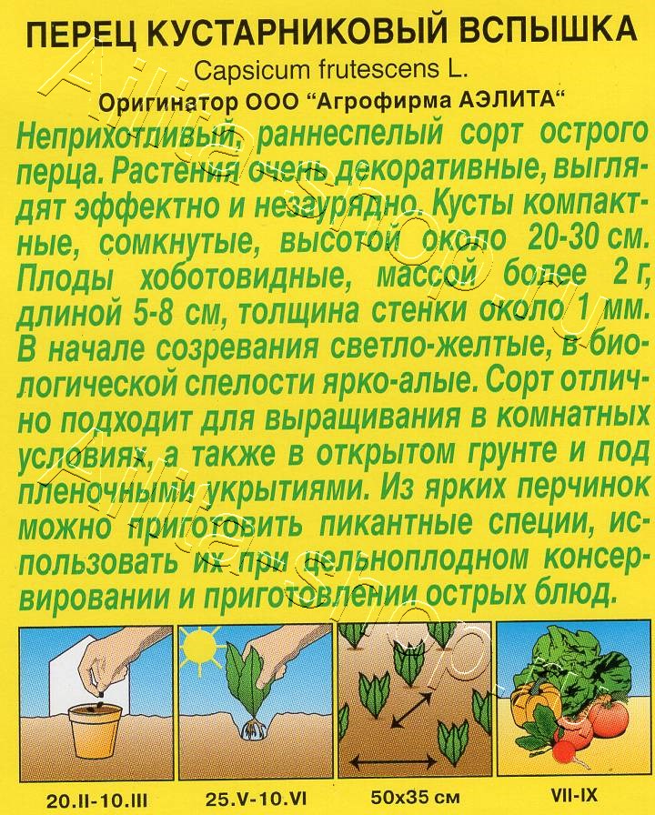 Перец кустарниковый Вспышка 20шт