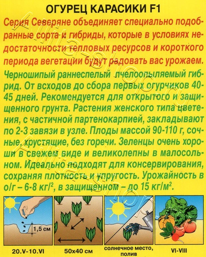 Огурец Карасики F1 10шт