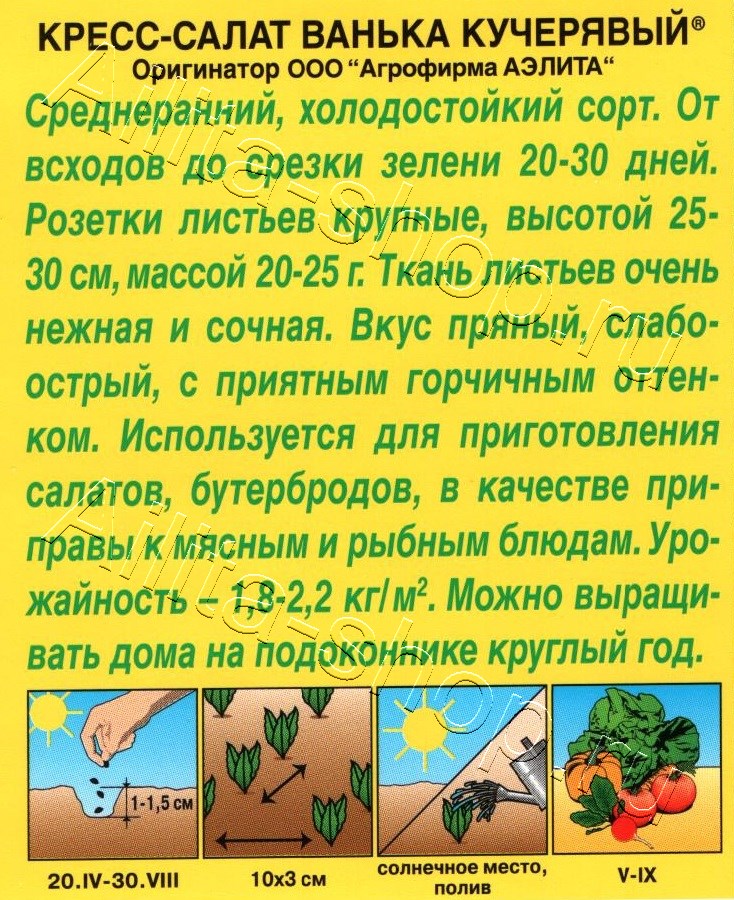 Кресс-салат Ванька кучерявый 1г