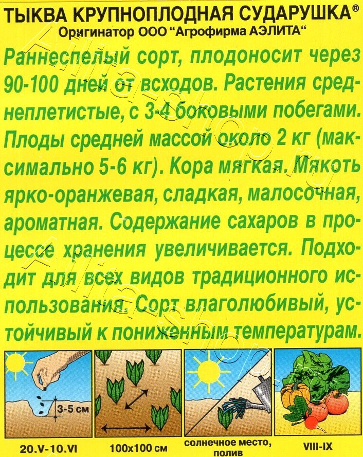 Тыква крупноплодная Сударушка 1г