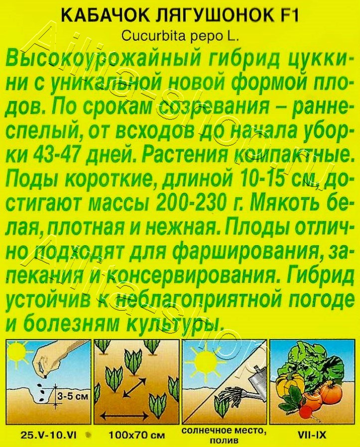 Кабачок цуккини Лягушонок F1 5шт