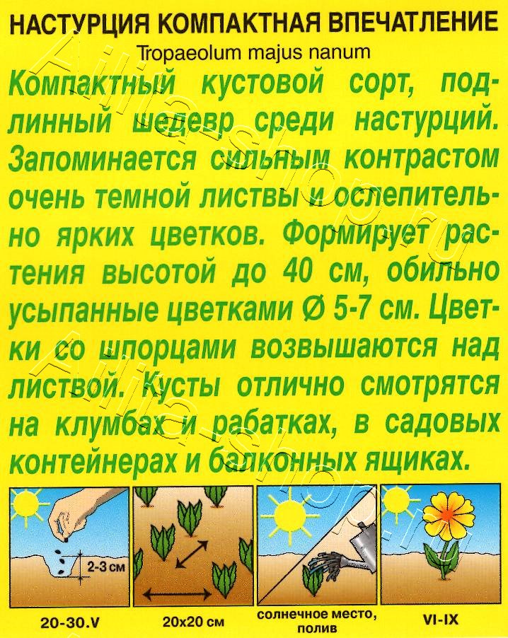 Настурция Впечатление 1г