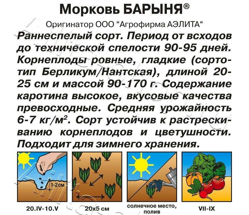 Морковь Барыня 2г