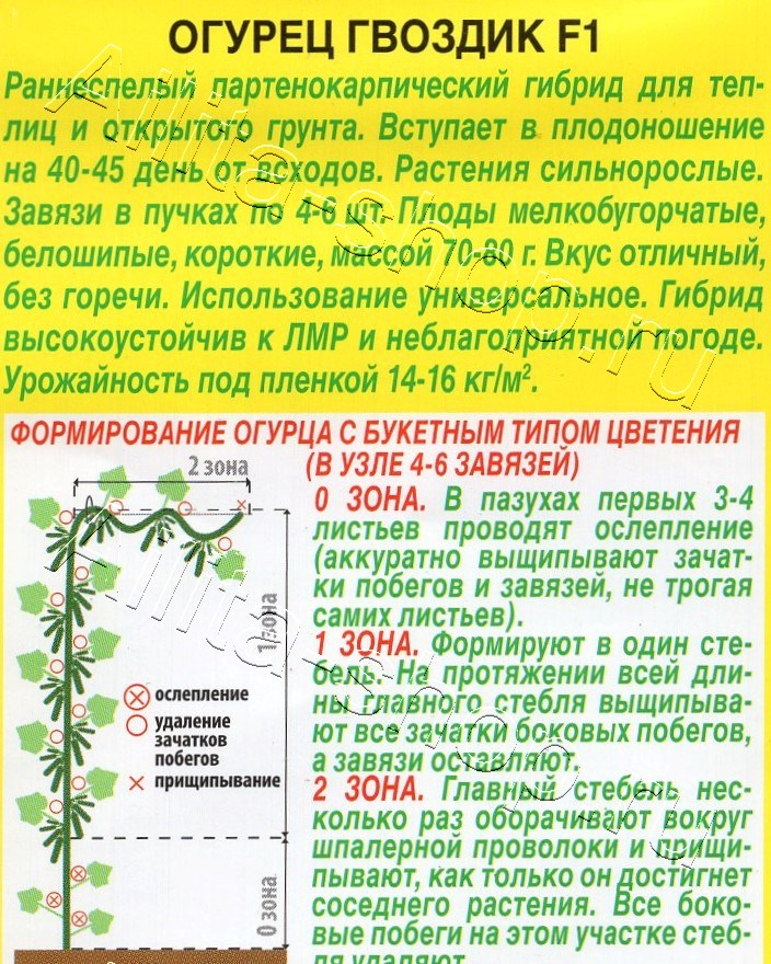 Огурец Гвоздик F1 10шт