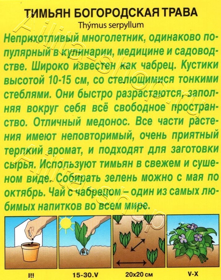 Тимьян Богородская трава 0,05г