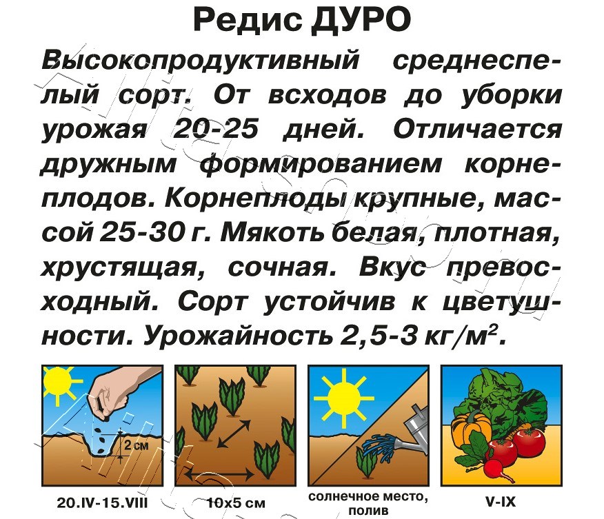 Редис Дуро 2г
