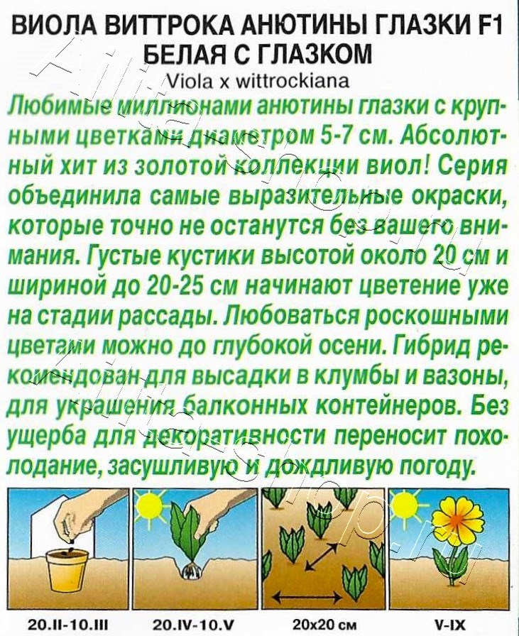 Виола Анютины глазки F1 белая с глазком 5шт